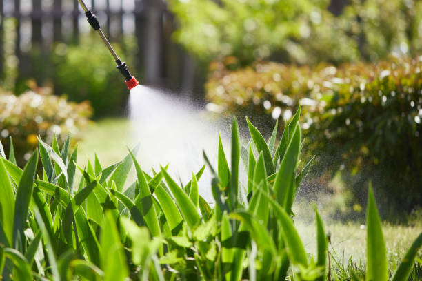 24/7 Emergency Mosquito Control experts in Dunbar, SC