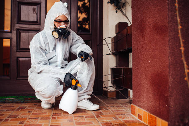 Reliable Mosquito Control contractor in Dunbar, SC by Show Me Pest Control